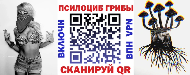 купить закладку  Котельники  Псилоцибиновые грибы Magic Shrooms 